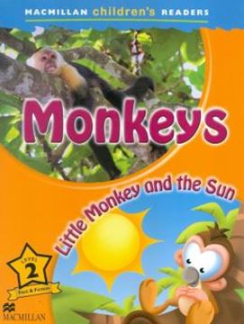 Imagem de MONKEYS LITTLE MONKEY AND THE SUN 2