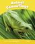 Imagem de ANIMAL CAMOUFLAGE - LEVEL 6