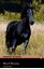 Imagem de BLACK BEAUTY 2 MP3 PACK
