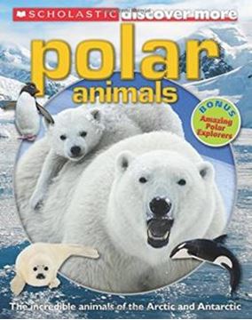 Imagem de SCHOLASTIC DISCOVER MORE - POLAR ANIMALS