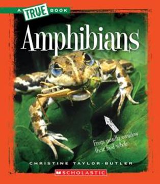 Imagem de AMPHIBIANS