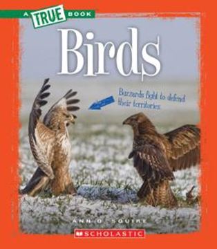 Imagem de BIRDS
