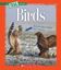 Imagem de BIRDS