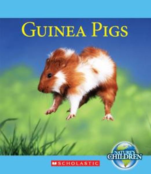 Picture of GUINEA PIGS
