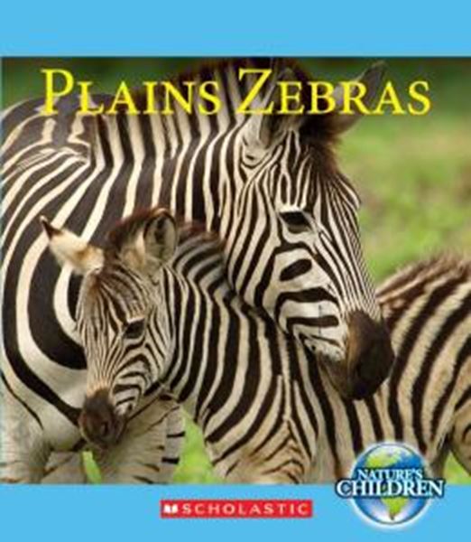 Picture of PLAINS ZEBRAS