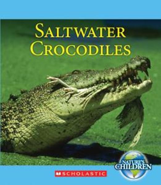 Picture of SALTWATER CROCODILES