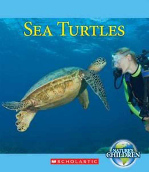 Picture of SEA TURTLES