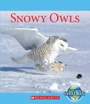 Imagem de SNOWY OWLS