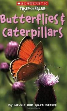 Imagem de BUTTERFLIES AND CATERPILLARS