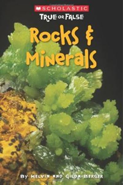 Picture of SCHOLASTIC TRUE OR FALSE - ROCKS & MINERALS