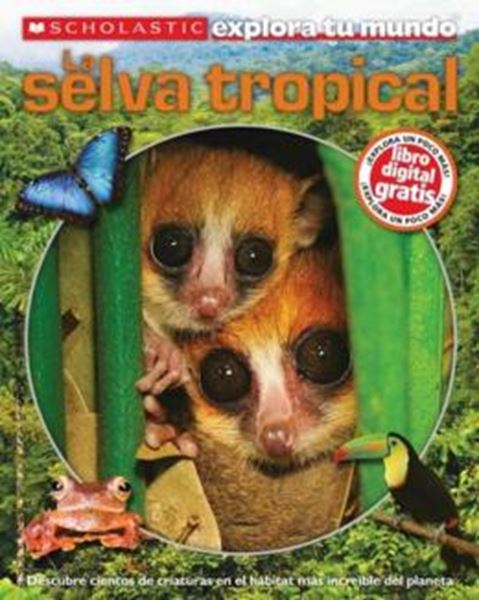 Picture of SELVA TROPICAL, LA / RAINFORESTS