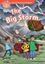 Imagem de BIG STORM, THE - LEVEL 2