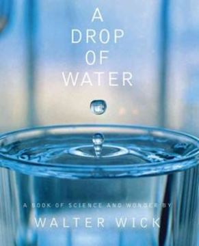 Imagem de A DROP OF WATER - A BOOK OF SCIENCE AND WONDER