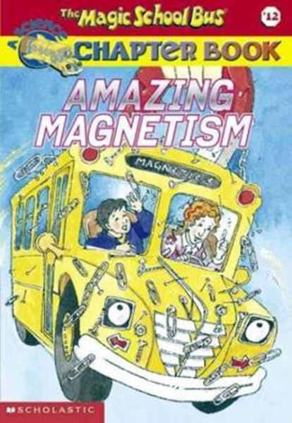 Picture of AMAZING MAGNETISM