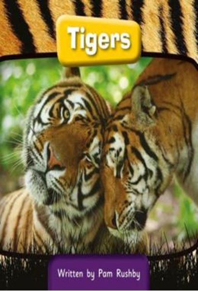 Picture of TIGERS