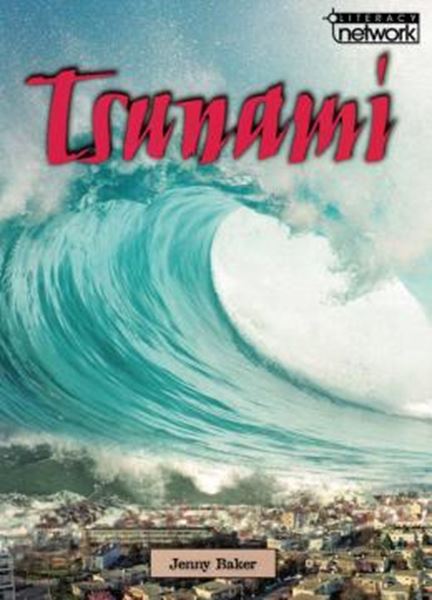 Picture of TSUNAMI