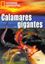 Imagem de CALAMARES GIGANTES - NIVEL C1 - LIBRO + DVD