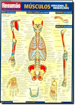 Imagem de RESUMAO - MUSCULOS ORIGENS - INSERCOES