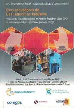 Imagem de USOS INOVADORES DO GAS NATURAL NA INDUSTRIA - PROMOCAO DA EFICIENCIA ENERGETICA EM ARRANJOS PRODUTIVOS LOCAIS APL EM SINTONIA COM MELHORES PRATICAS DE GESTAO DE ENERGIA - SERIE RCGIUSPSYNERGIA