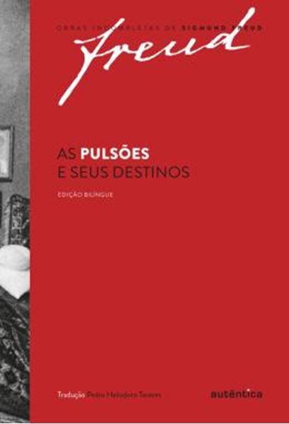 Picture of PULSOES E SEUS DESTINOS, AS