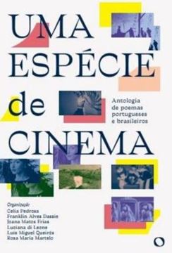 Imagem de UMA ESPECIE DE CINEMA
