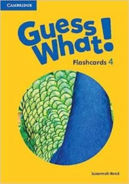 Picture of GUESS WHAT! 4 FLASHCARDS - AMERICAN