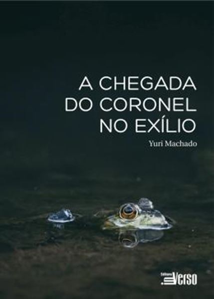 Picture of A CHEGADA DO CORONEL DO EXILIO