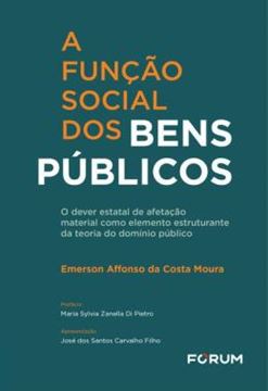 Imagem de A FUNCAO SOCIAL DOS BENS PUBLICOS