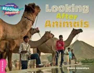 Imagem de CAMBRIDGE READING ADVENTURES - LOOKING AFTER ANIMALS PINK B BAND
