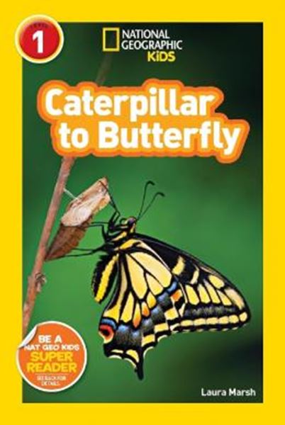 Picture of NATIONAL GEOGRAPHIC KIDS READERS L1 - CATERPILLAR TO BUTTERFLY 
